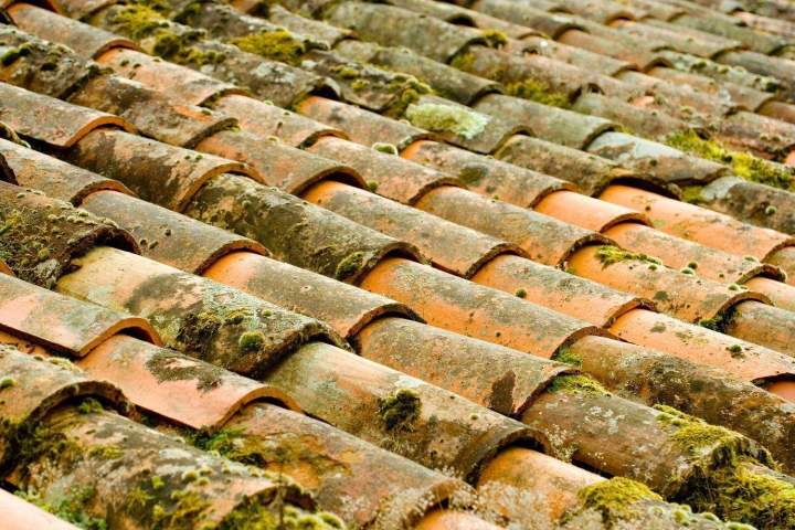 Toiture traditionnelle en tuiles à démousser Limoges