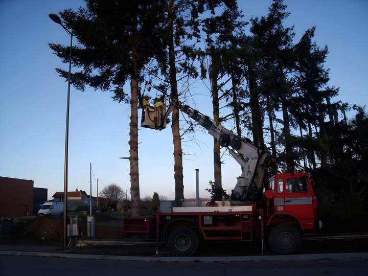 Travaux d'élagage d'arbre Limoges
