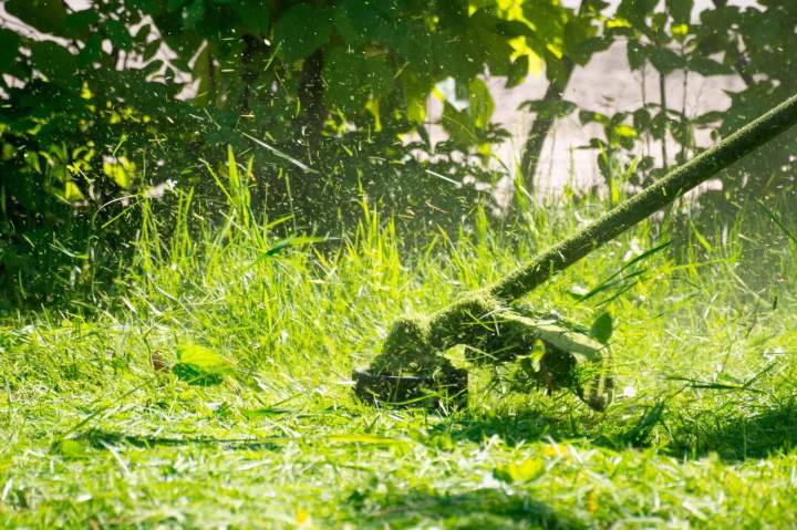 Débroussaillage Limoges